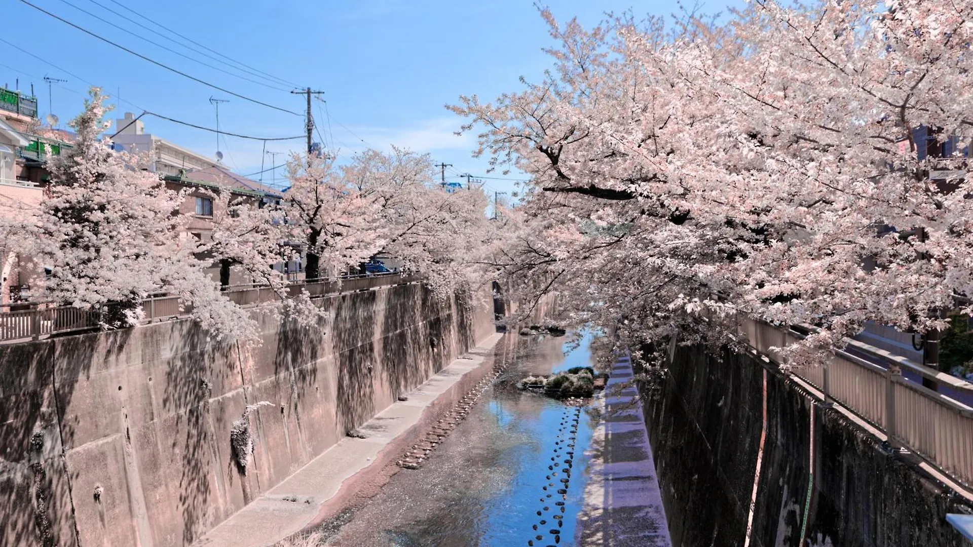 Calm Riverside Inn Close To Ikebukuro Tokyo Apartment